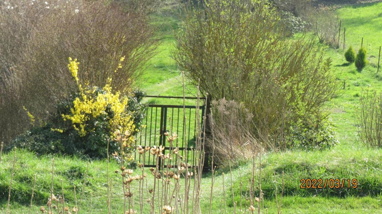 Le Tilleul Sainte-Genevieve-les-Gasny